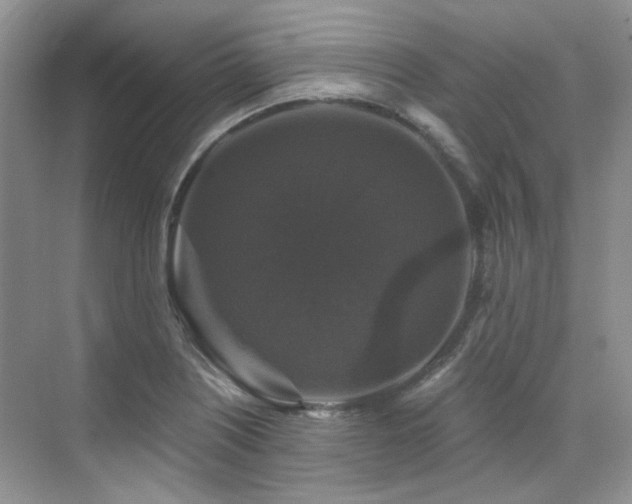 X0000076081226200609221214