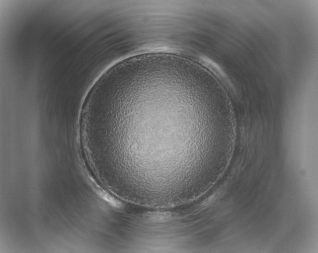 X0000076081236200609221214