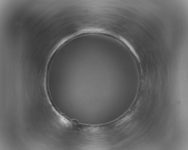 X0000076081245200609221214