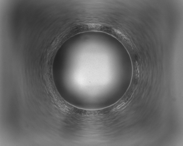 X0000076081249200609221213
