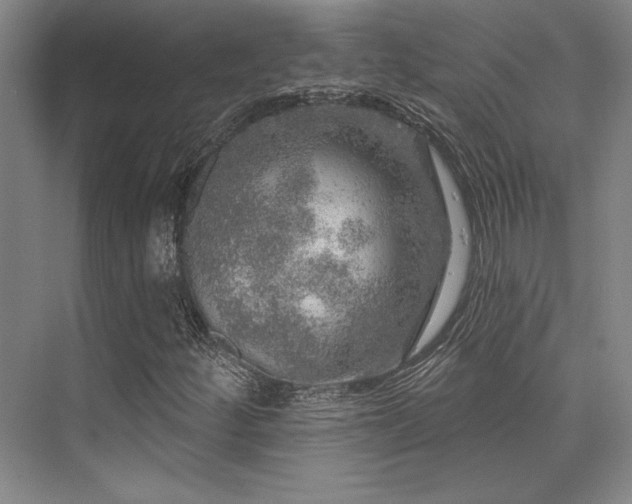 X0000076081252200609221213
