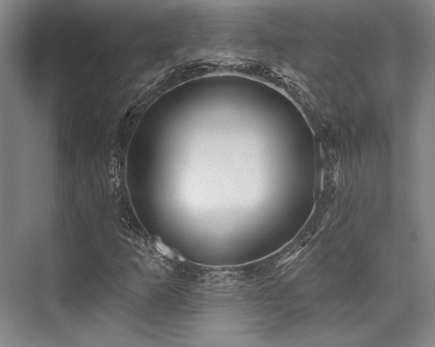 X0000076081253200609221213