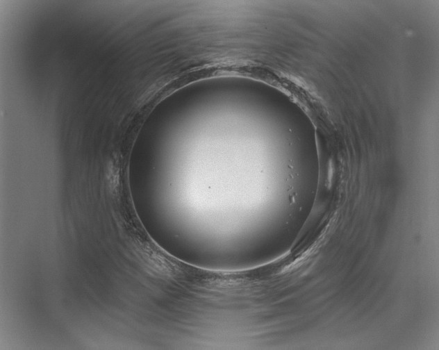 X0000076081257200609221213