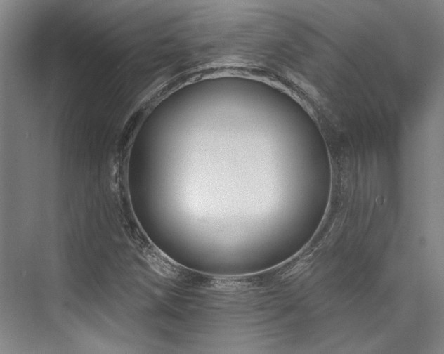 X0000076081258200609221213