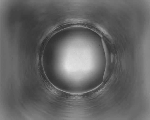 X0000076081261200609221213