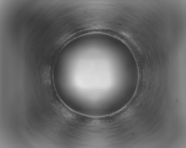 X0000076081265200609221213