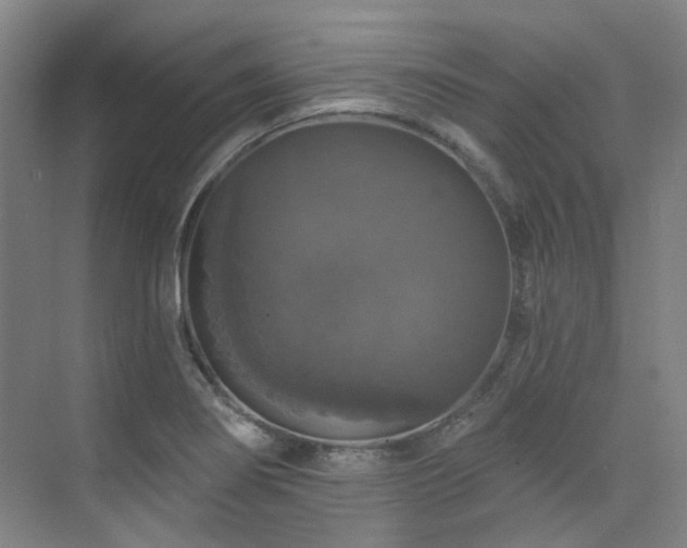 X0000076081274200609221213
