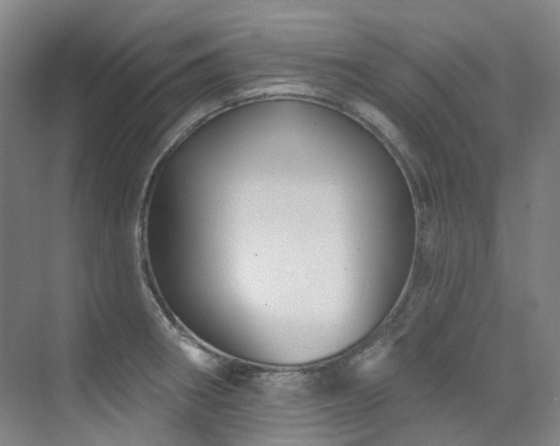 X0000076081282200609221213