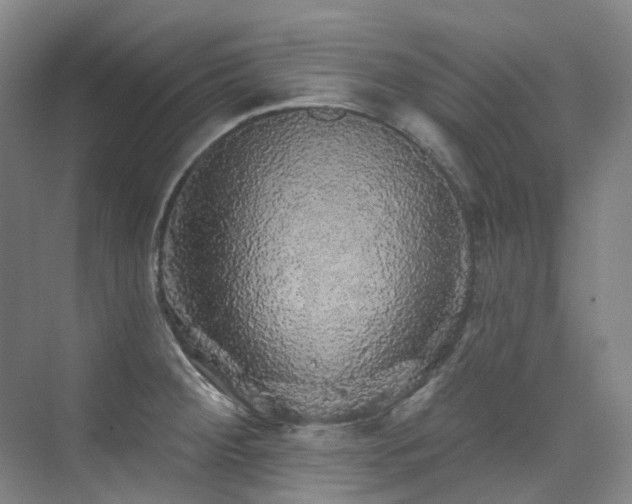 X0000076081284200609221213