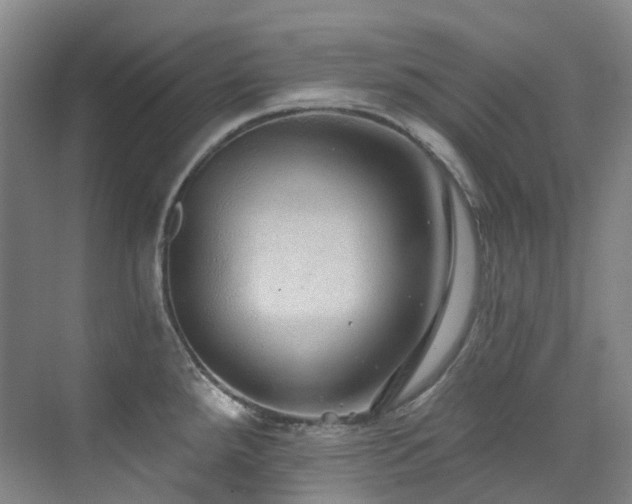 X0000076081288200609221213