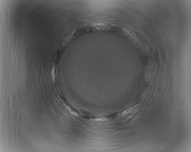 X0000076081298200609221212
