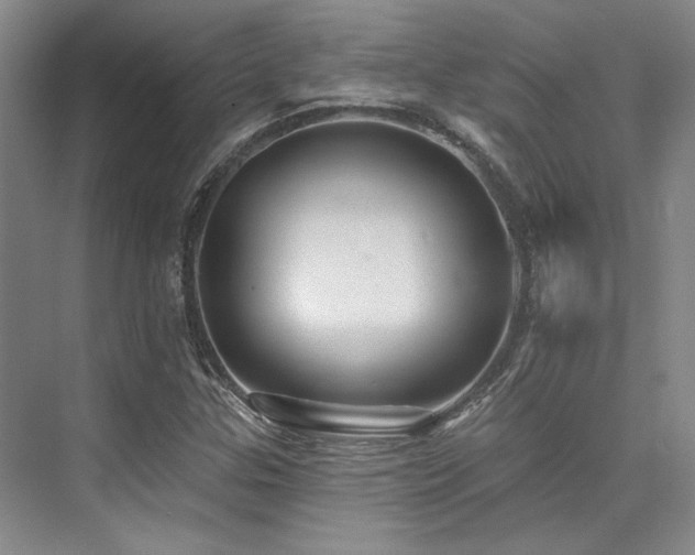 X0000076081307200609221212