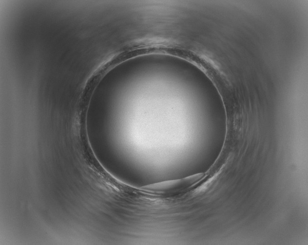 X0000076081309200609221212