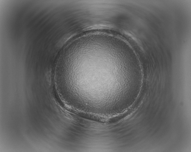 X0000076081313200609221212