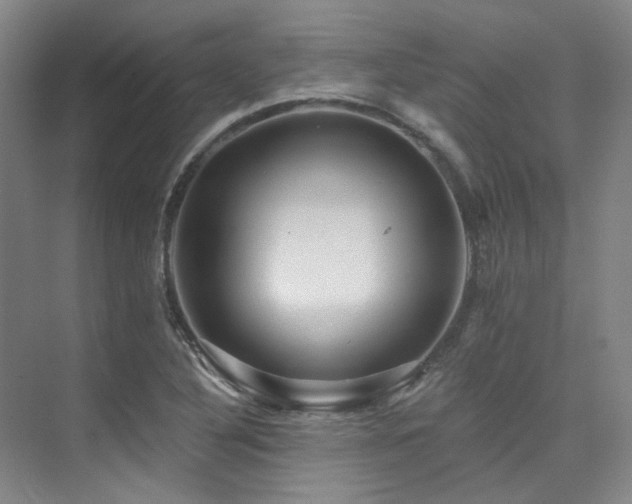 X0000076081316200609221212