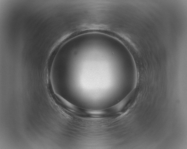 X0000076081317200609221212