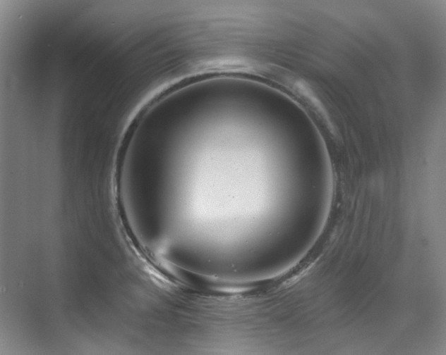 X0000076081328200609221212