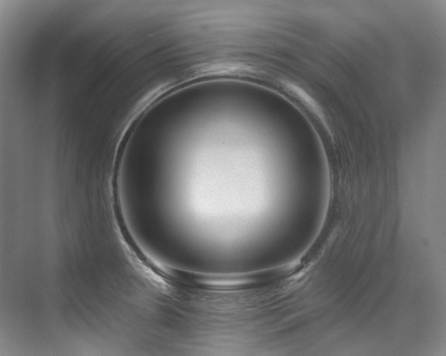 X0000076081330200609221212