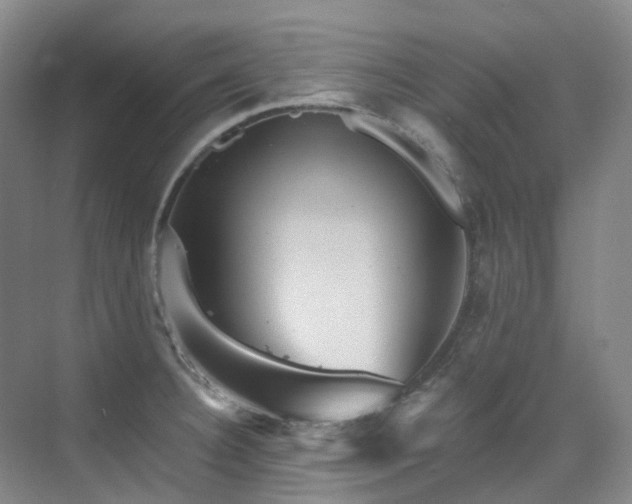 X0000076081332200609221212