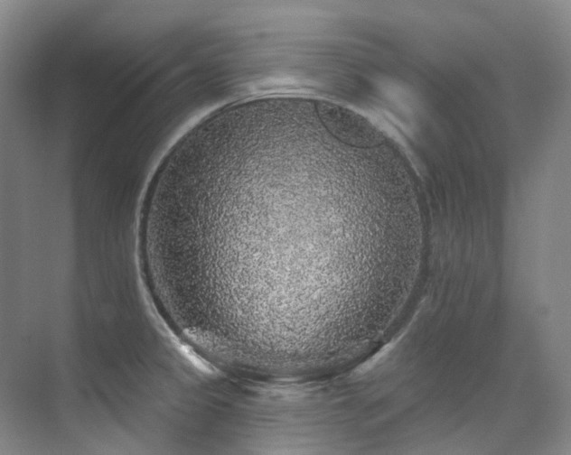 X0000076081333200609221212