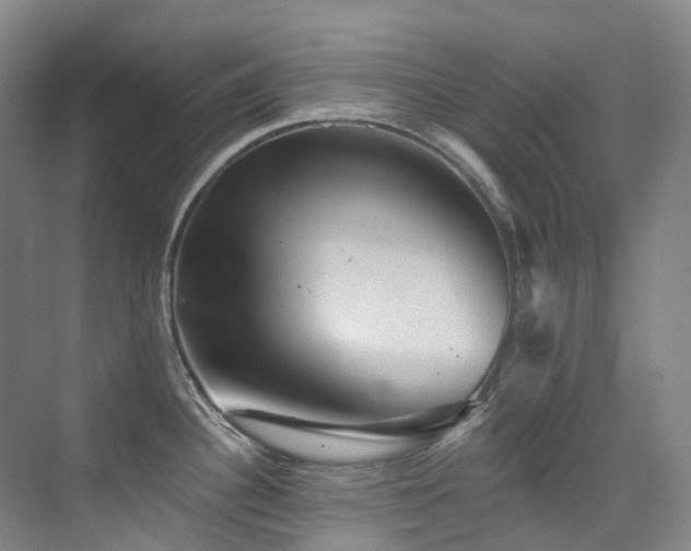 X0000076081340200609221212