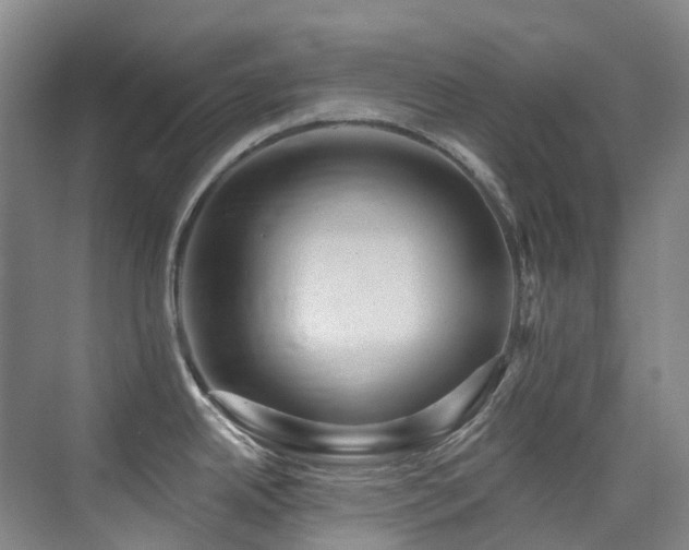 X0000076081342200609221213