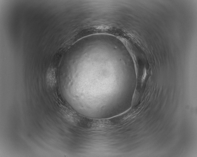 X0000076081347200609221212