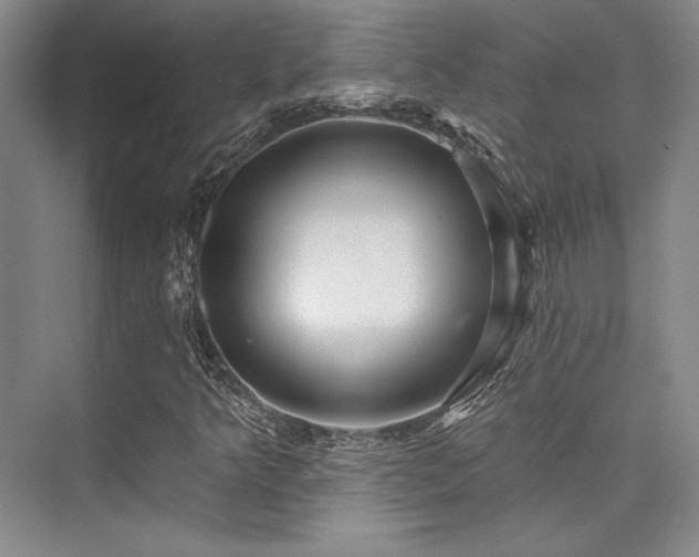 X0000076081349200609221212