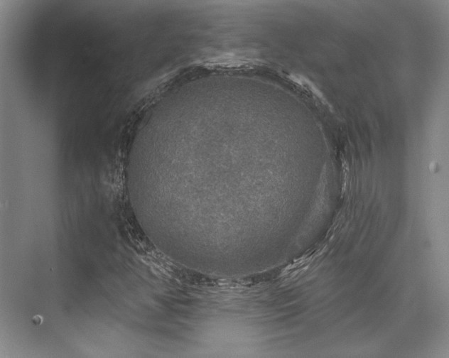 X0000076081350200609221212