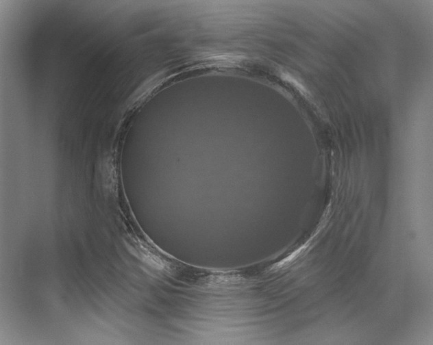 X0000076081354200609221212