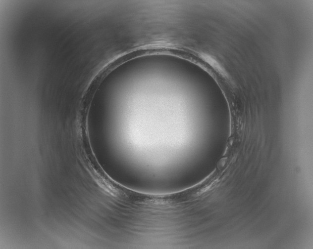 X0000076081356200609221212