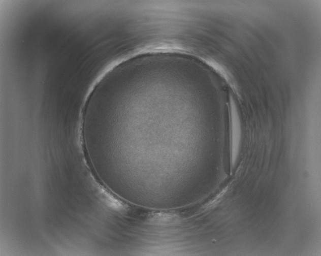 X0000076081374200609221211