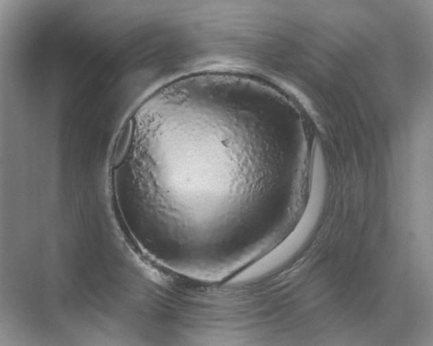 X0000076081375200609221211