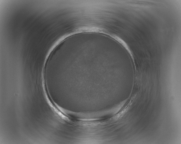 X0000076081389200609221211