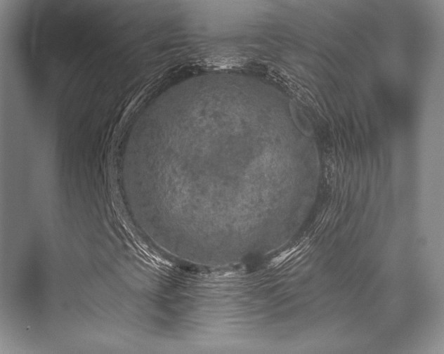 X0000076081393200609221210