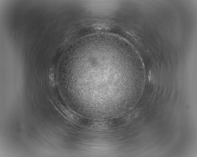X0000076081396200609221210