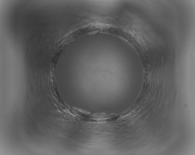 X0000076081397200609221210