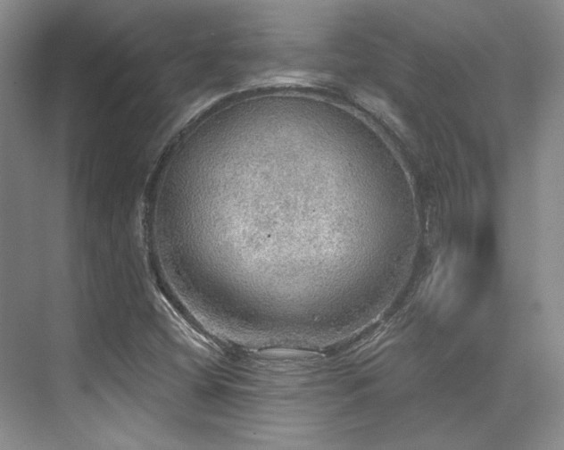X0000076081404200609221210