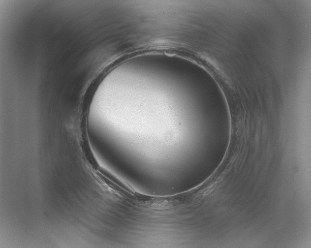 X0000076081410200609221210