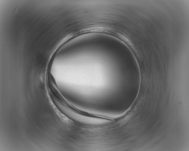 X0000076081426200609221211