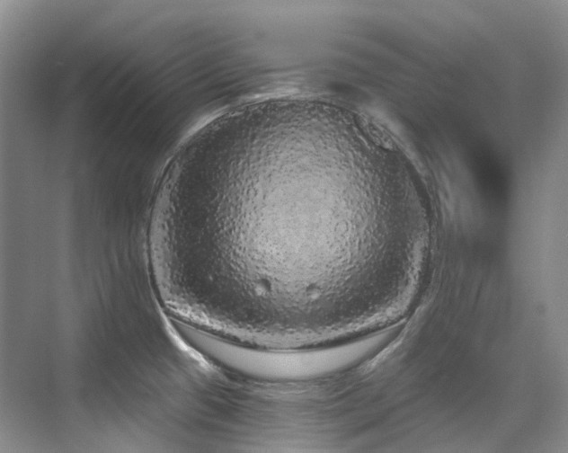 X0000076081433200609221211
