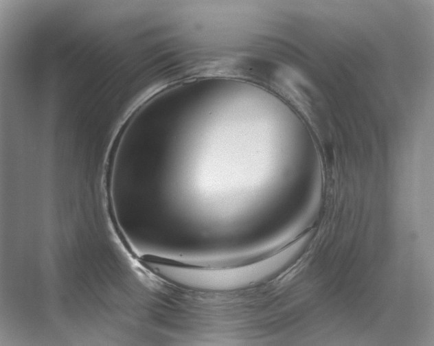 X0000076081434200609221211
