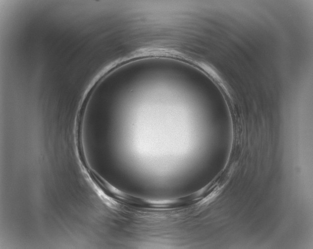 X0000076081438200609221211