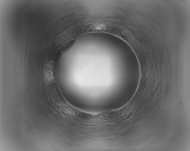 X0000076081442200609221210
