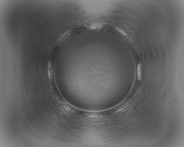 X0000076081443200609221210
