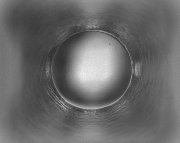 X0000076081444200609221210