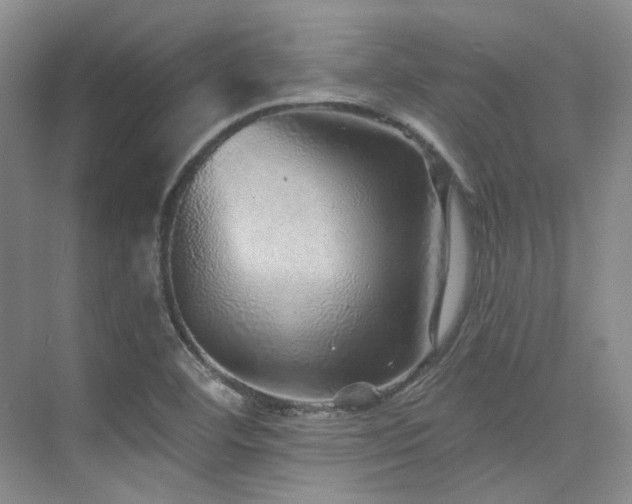 X0000076081460200609221210