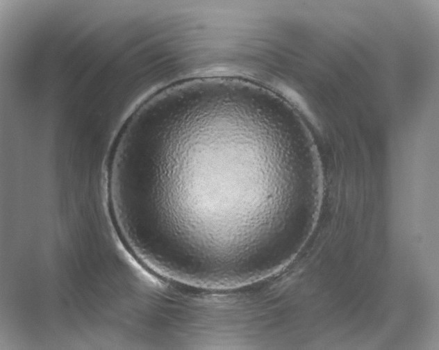 X0000076081476200609221210