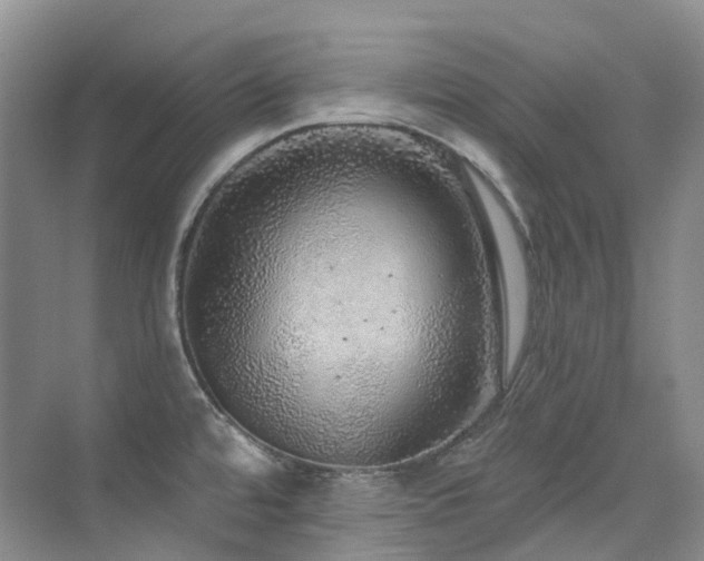 X0000076081480200609221209
