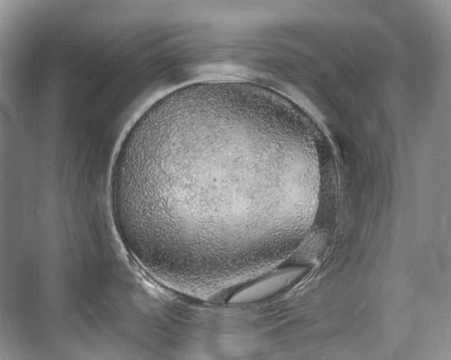 X0000076081488200609221209